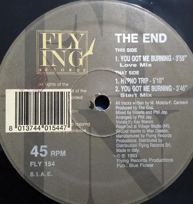 Disco de Vinil LP The End You Got Me Burning (importado) - Foto 3