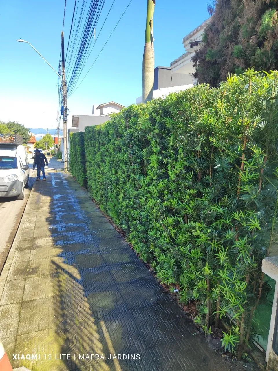 Jardinagem em geral faça seu orçamento !! - Foto 2