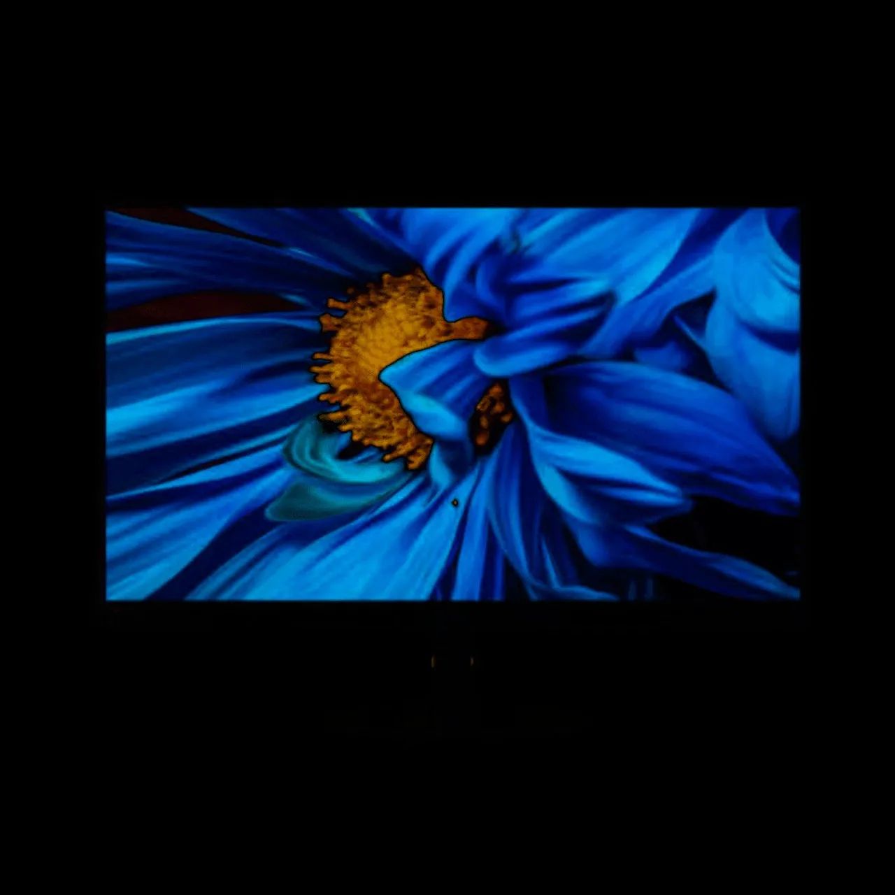 MONITOR 23.8? LENOVO S24E-03 VGA +  HDMI  + REGULAGEM DE ALTURA E INCLINAÇÃO  - Foto 6