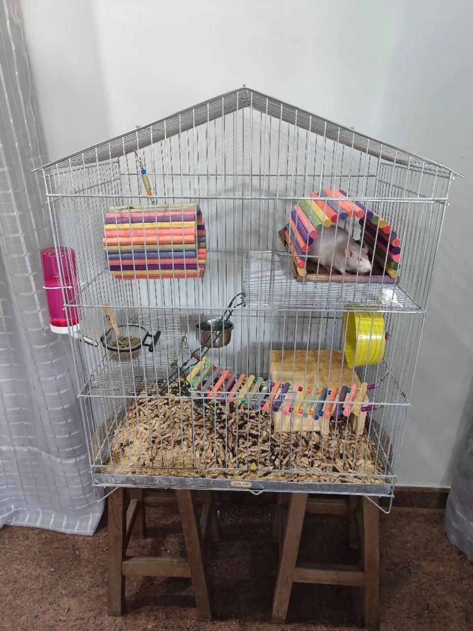 Rato Twister Doa-se - Foto 6