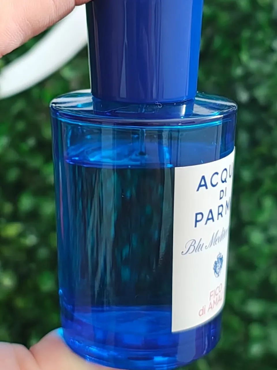 Acqua di Parma Fico di Amalfi - 75ml | Original, com caixa, 90% cheio! - Foto 3