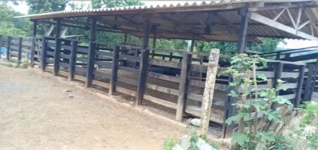 Chácara para Venda no Gama - DF