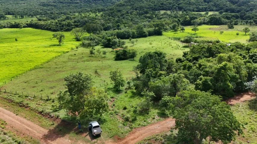Chácaras a partir de 02 Hectares Próximo de Campo Grande!  - Foto 5