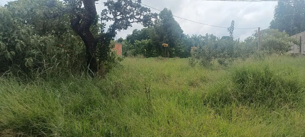 Lote , terreno de 400 m²  Recanto das Emas 
