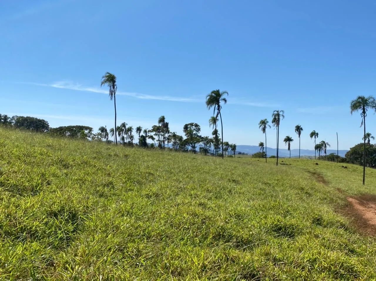 Fazenda de 308 alqueires região de Ipora - Foto 5