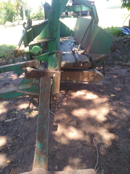Ceiflex feijao