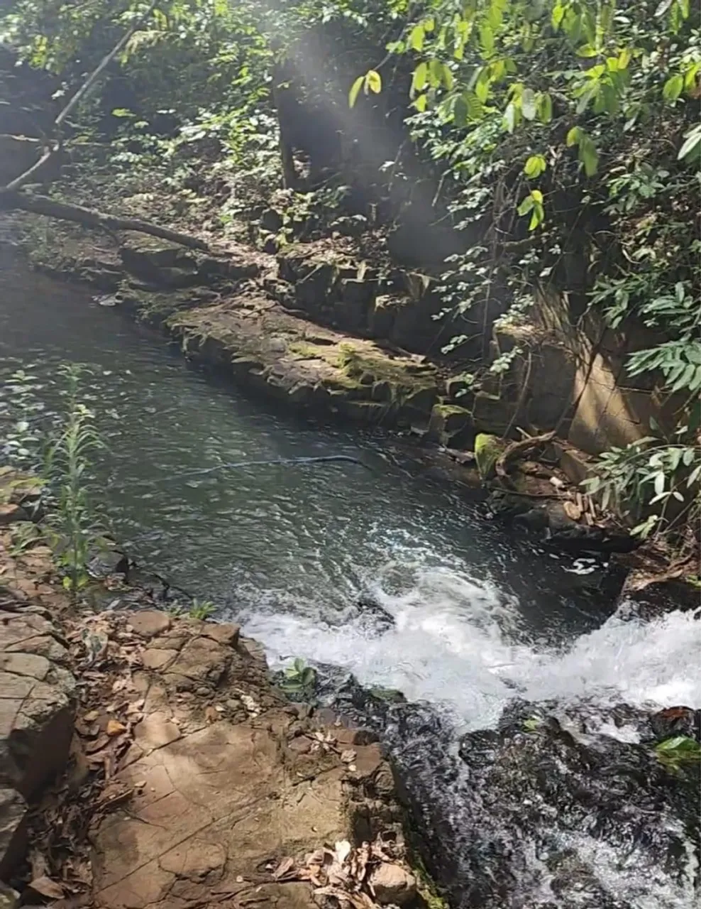 Alugo chácara Rochedinho com cachoeira