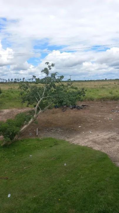 Fazenda em Caxias do Maranhão - Foto 4