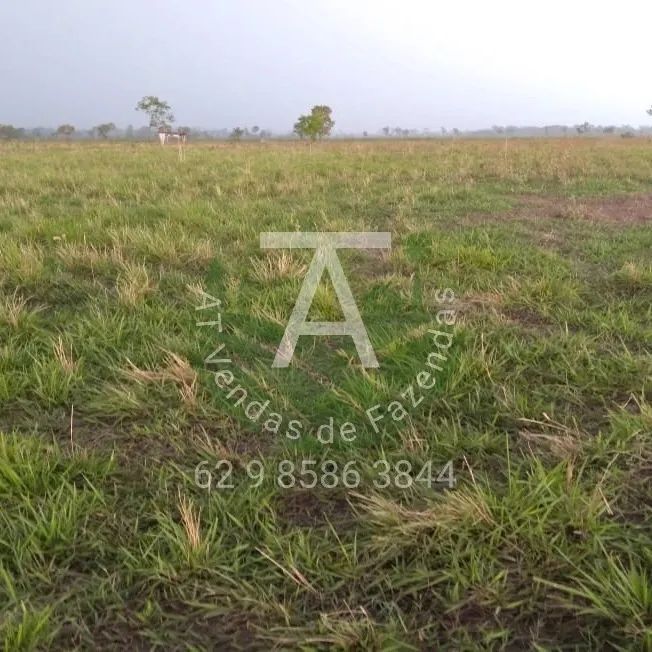 Fazenda de 1.590 hec em Serra Nova Dourada MT - Foto 2