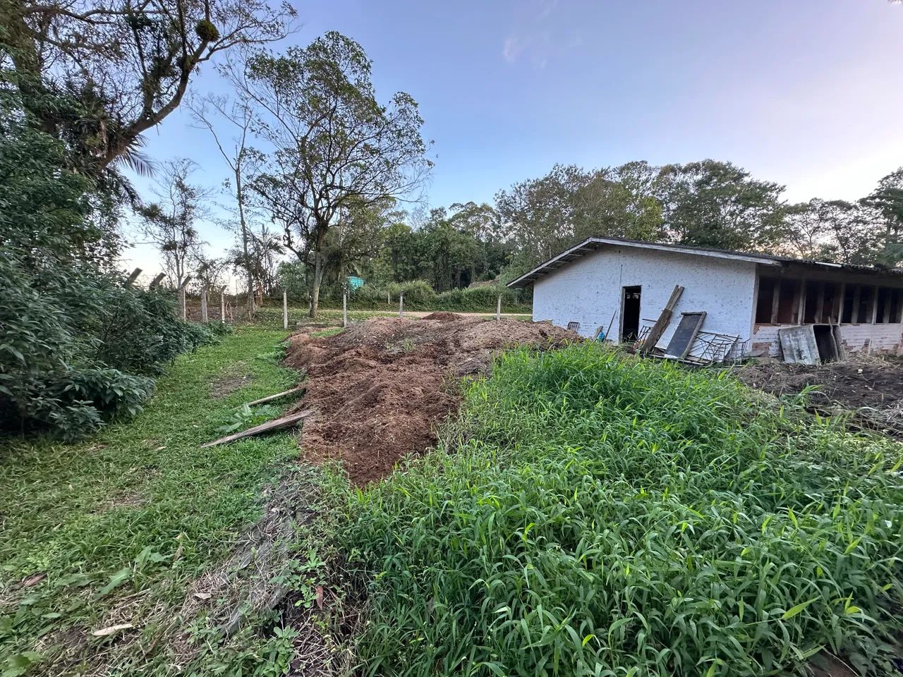Doa-se esterco de cavalo - Foto 4