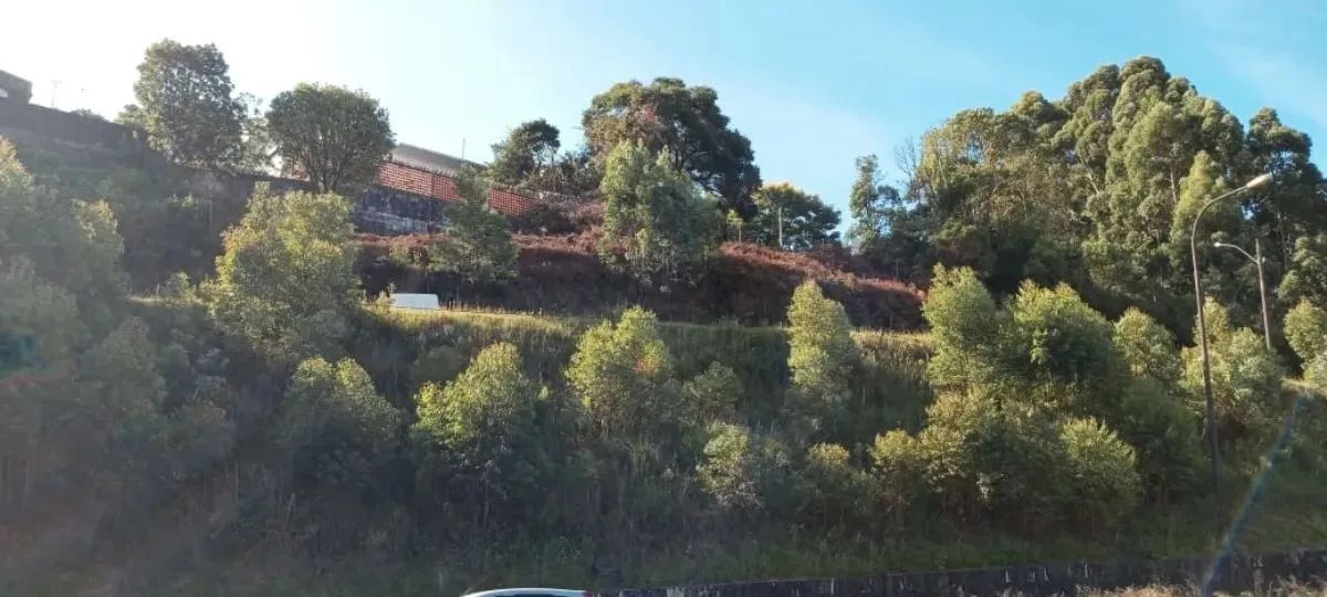 CAXIAS DO SUL - Terreno Padrão - CINQUENTENÁRIO - Foto 9