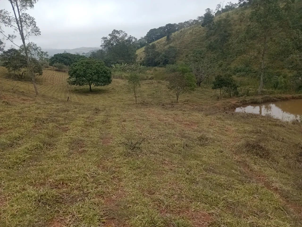 Chácara Rancho Novo  - Foto 2