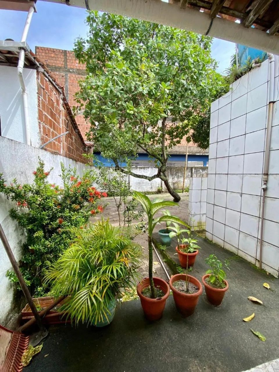Casa em Porto de Galinhas - Foto 5