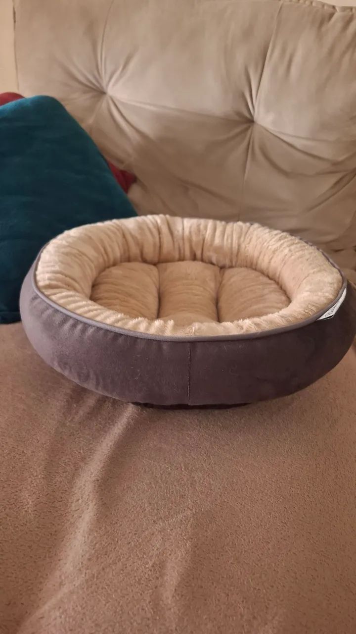 Cama para PETs - Foto 2