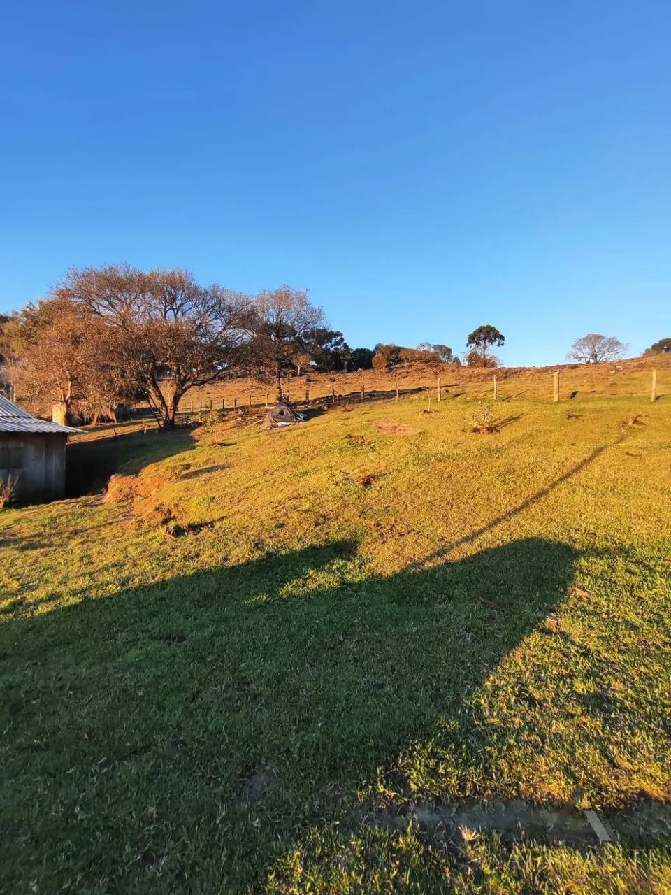 Chácara em São Jorge da Mulada - Foto 4