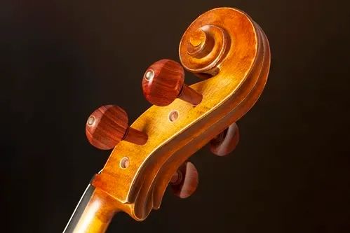 Violoncelo Eagle Ce-210 - Foto 4