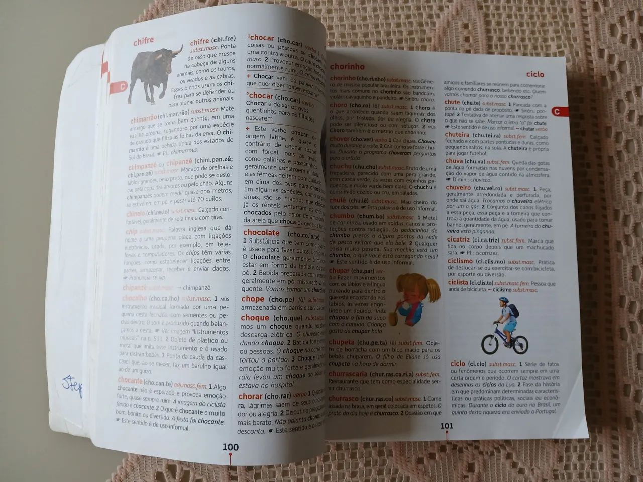 Dicionário Houais Ilustrado - Foto 4