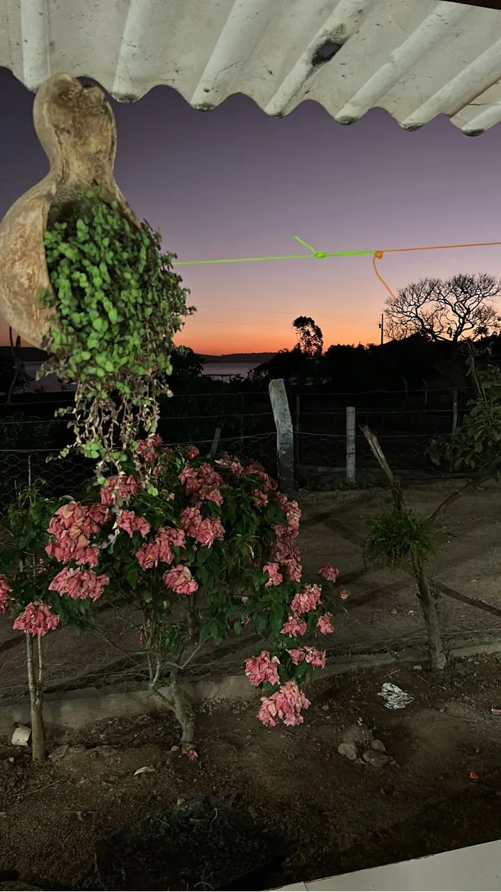 Vende se rancho - Foto 4