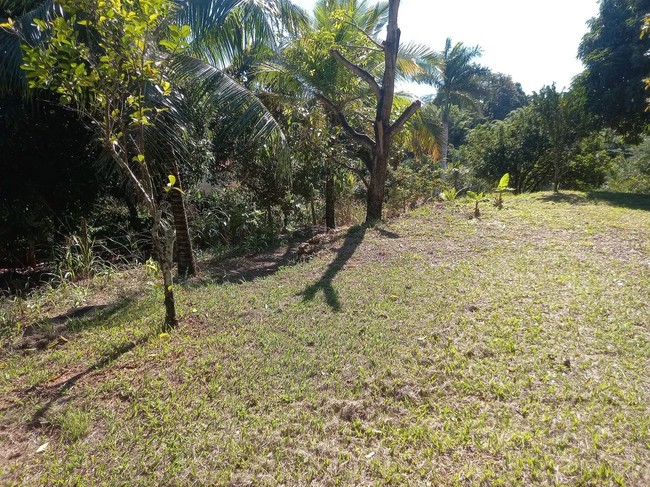 Terreno em Seropédica  - Foto 4