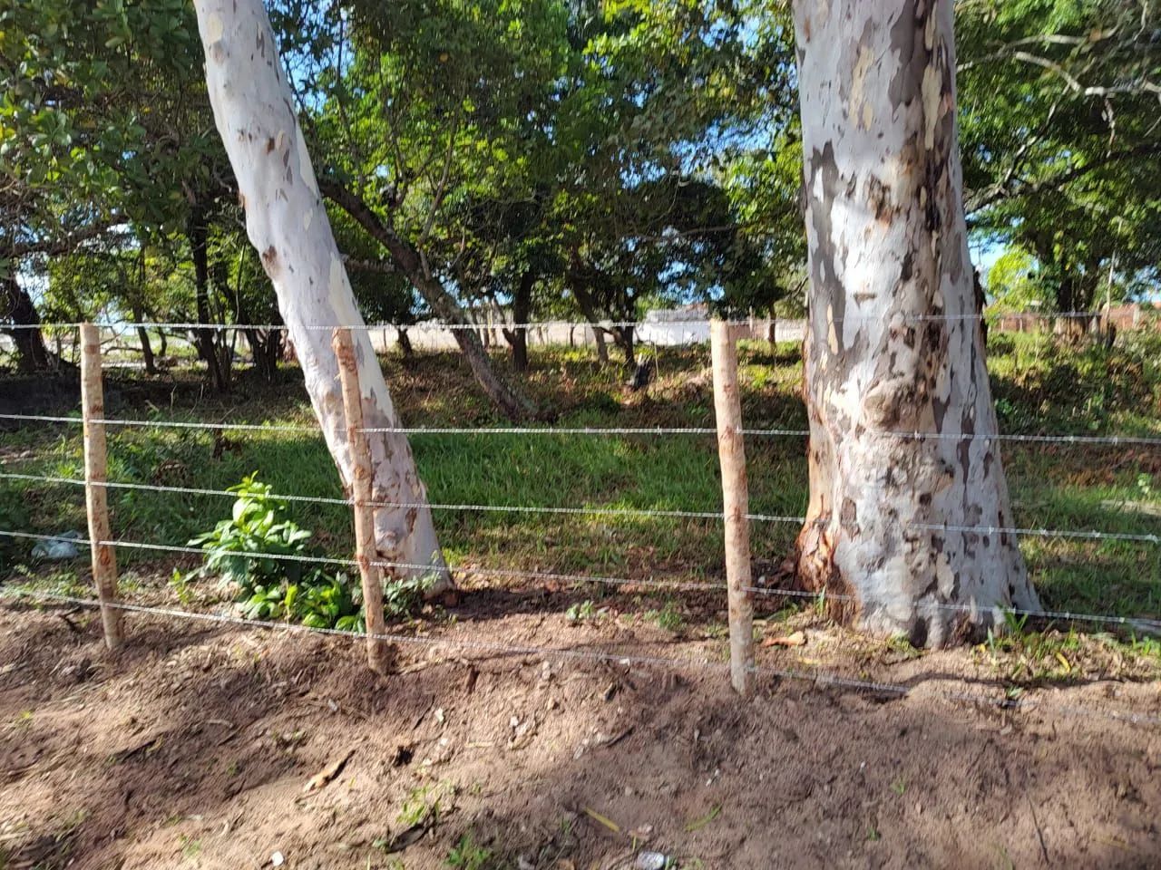 Terreno no cidade das Rosas - Foto 2
