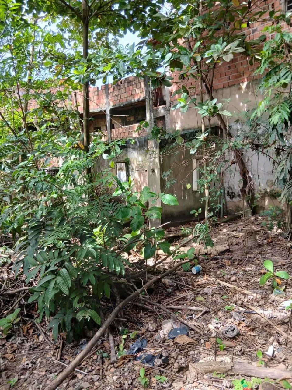 Terreno Plano - Foto 4
