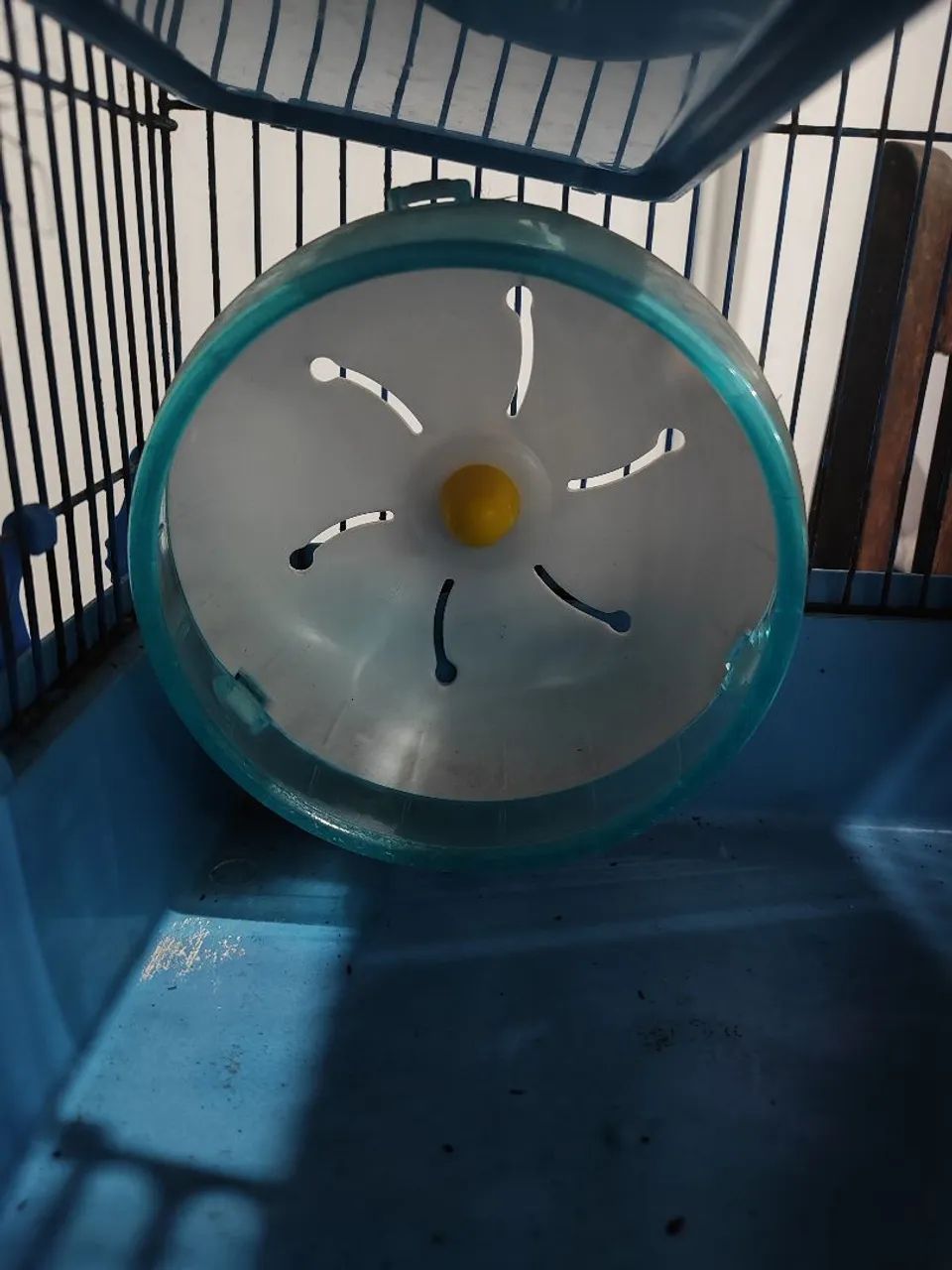 Casa de hamster 441091563172679684