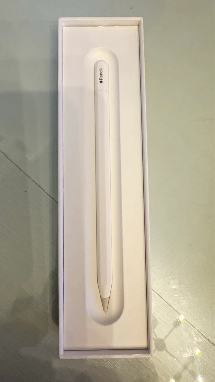 Apple Pencil USB-C Lacrado - RETIRE AGORA ABC SP - Periféricos e