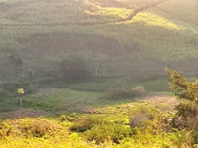 SÍTIO DE TRÊS HECTARES - Foto 3