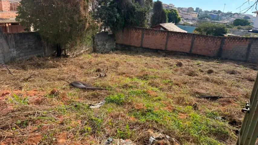Lote em excelente região da Pampulha 455m2 469.000,00 - Foto 4