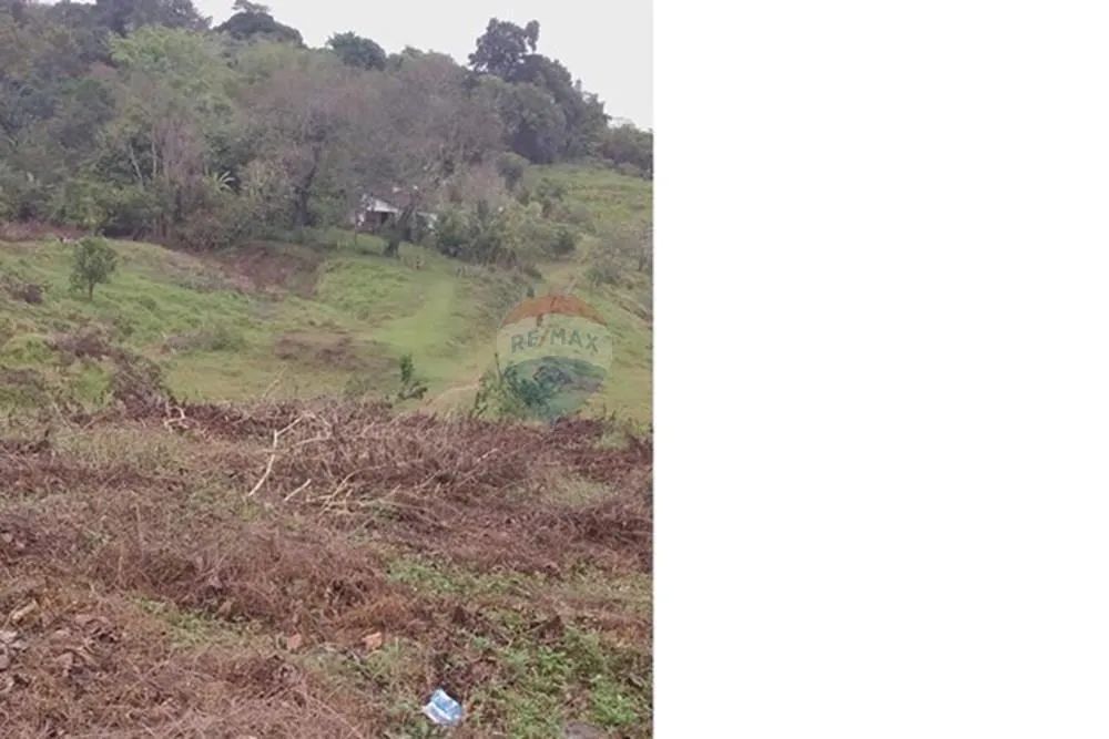 Fazenda Marimarta Ouro da Bahia! - Foto 3