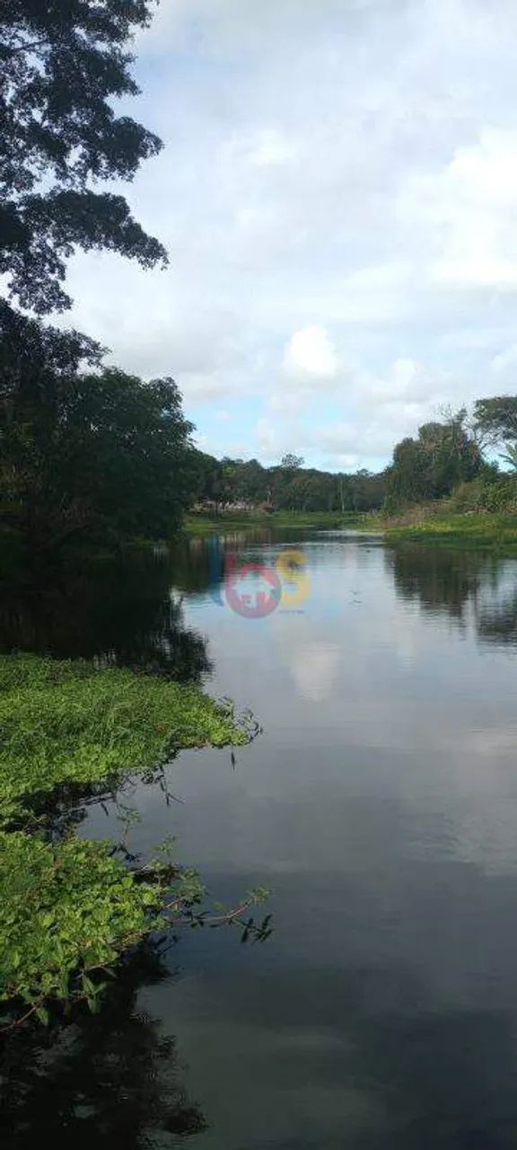 VENDO FAZENDA COM 109ha - ITAJUÍPE - Foto 5