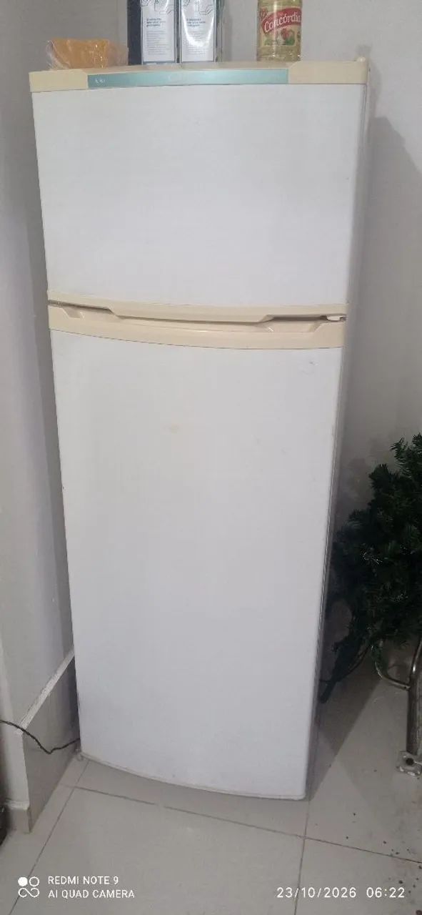 Geladeira duplex 