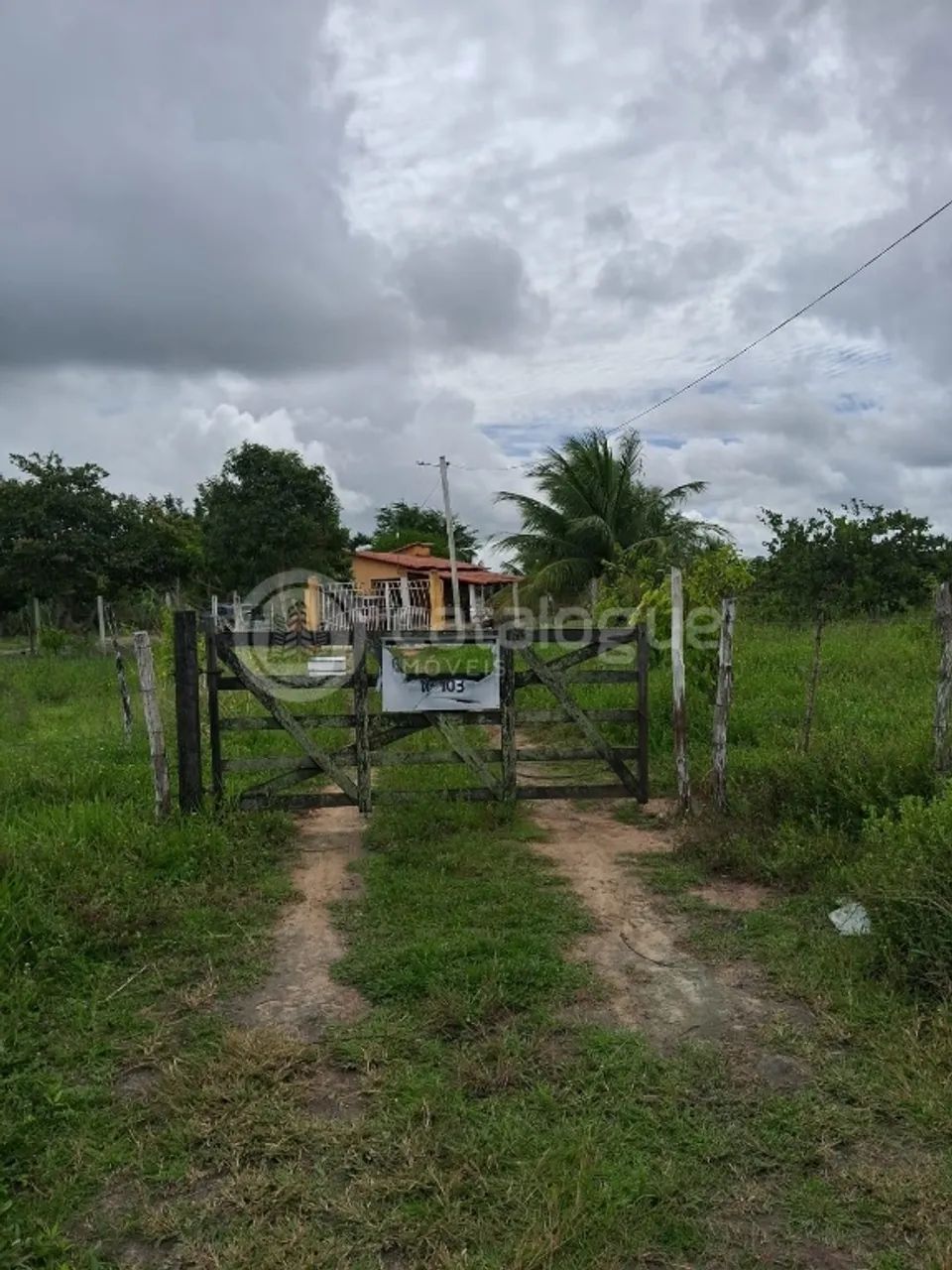 Chácara à Venda - 2 Hectares - Foto 3