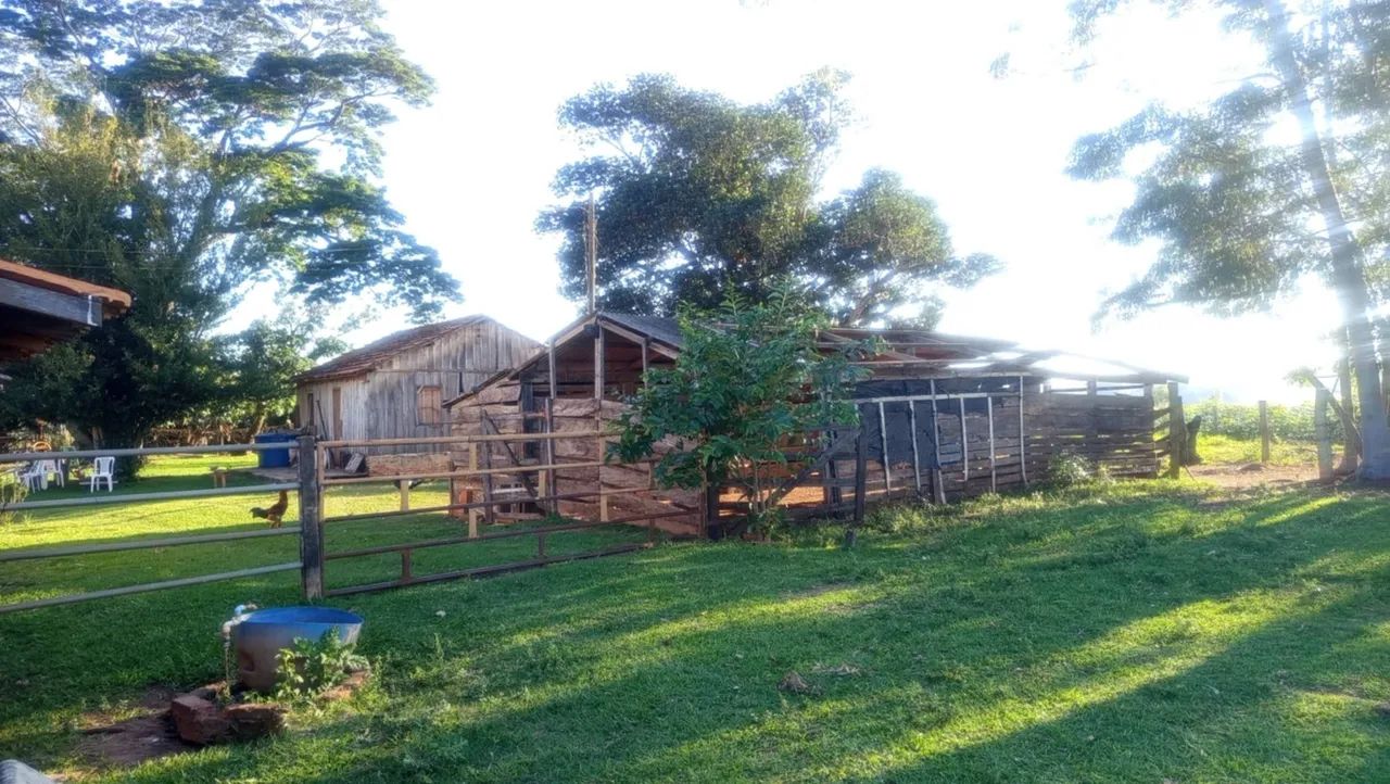 Vendo Sítio em Lucélia SP apenas 2km da cidade - Foto 5