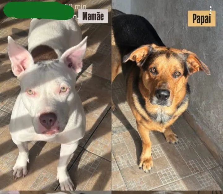Doação da Clhoe - Foto 4