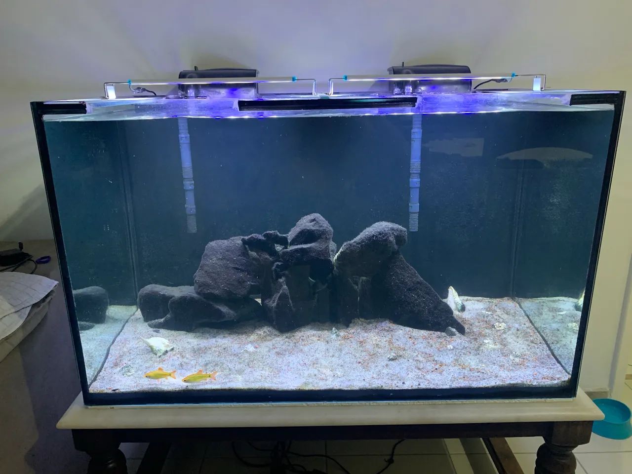 Aquário 300L completo com areia, rochas, luminárias e filtros