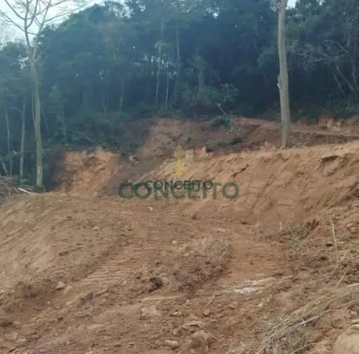 Lote/Terreno à Venda, Itacorubi - Florianópolis - Foto 4