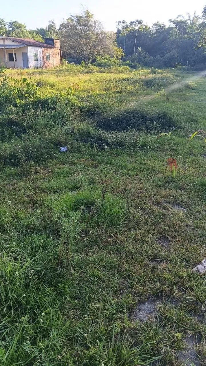 Terreno rural - Foto 2