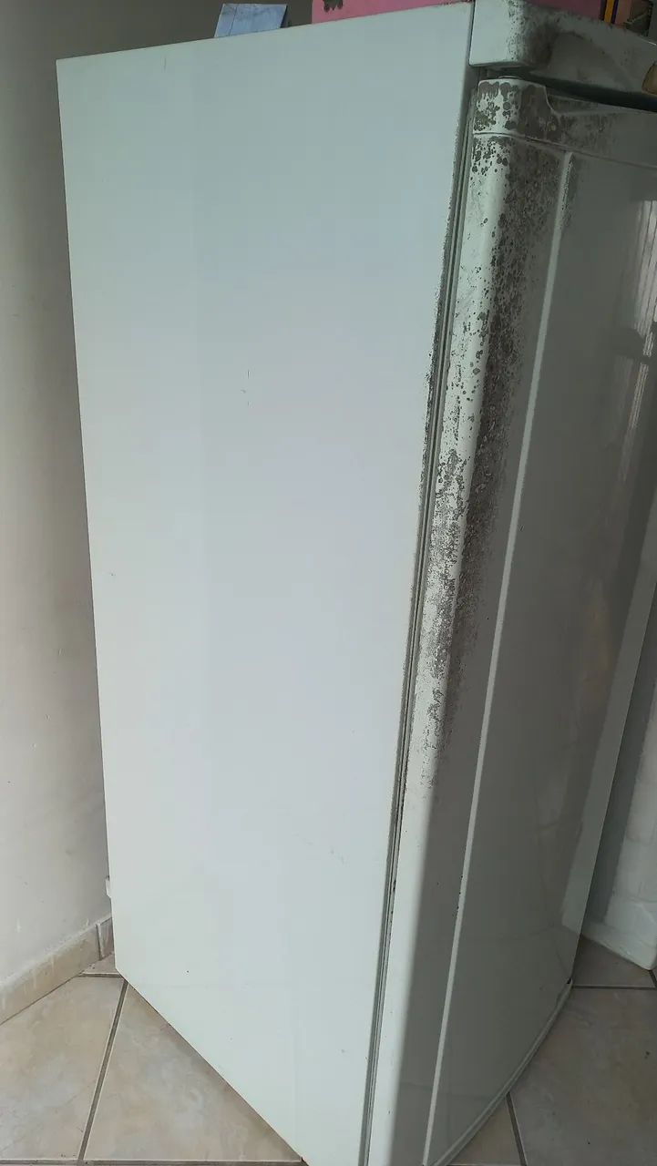 Geladeira 
