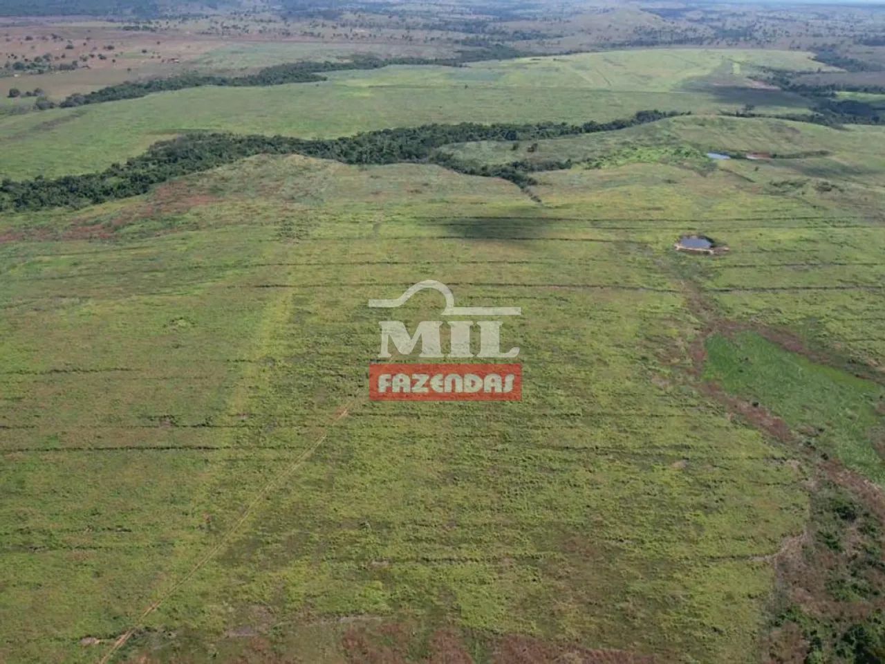 Fazenda 460 Alqueires (2.226 hectares) Xinguara - PA - Foto 2