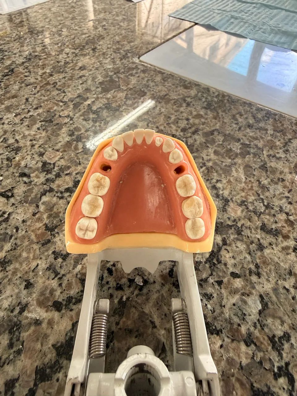 Manequim MOM dentistica - Foto 2