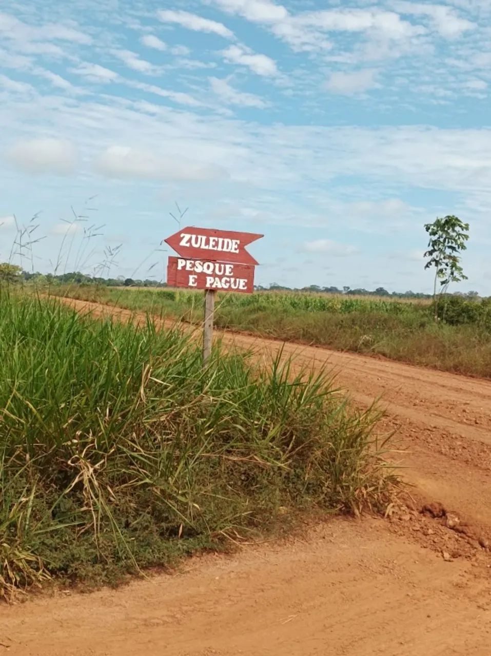  ? O verdadeiro paraíso para quem busca tranquilidade, produção rural e qualidade de vida - Foto 4