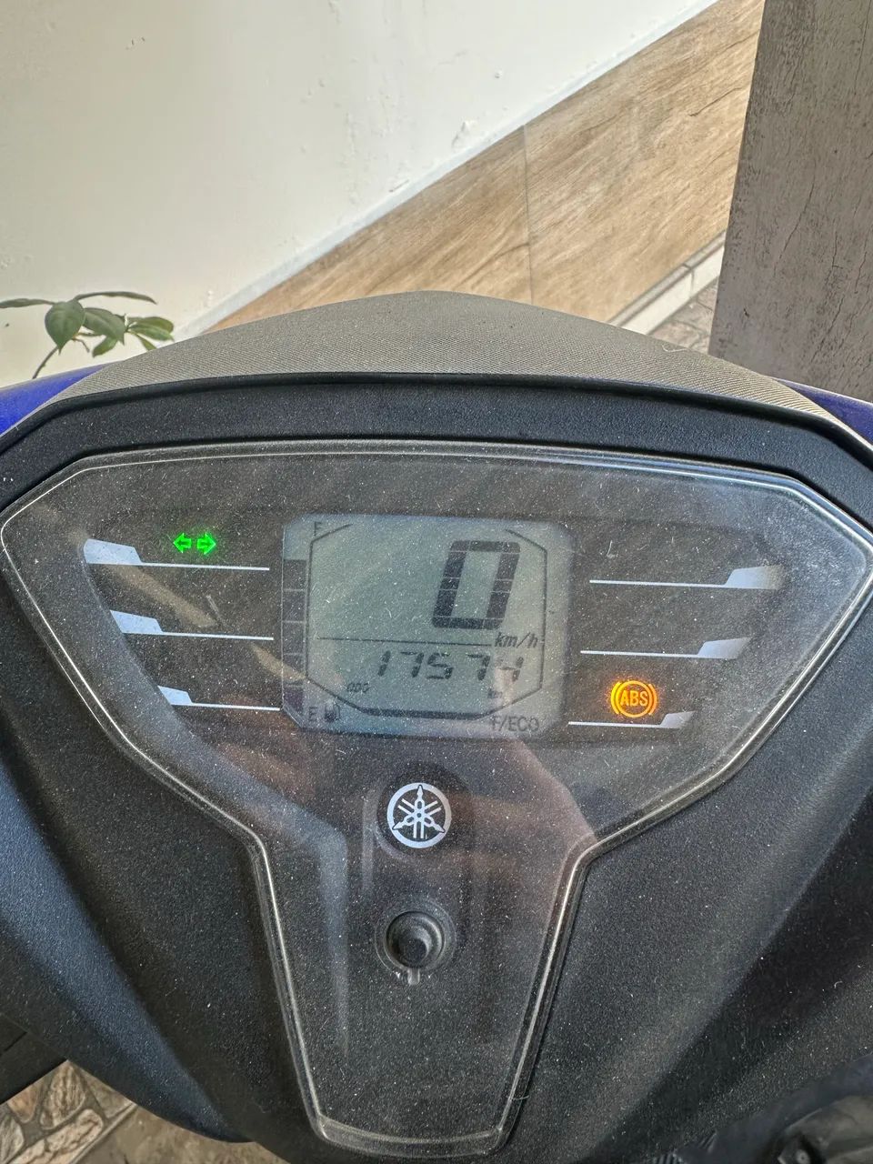 Moto!  - Foto 3