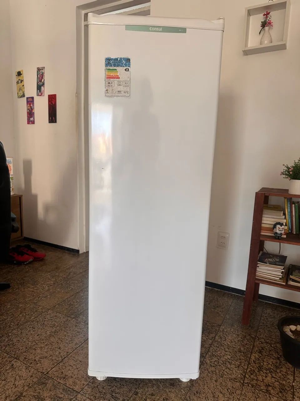 Freezer Vertical Consul