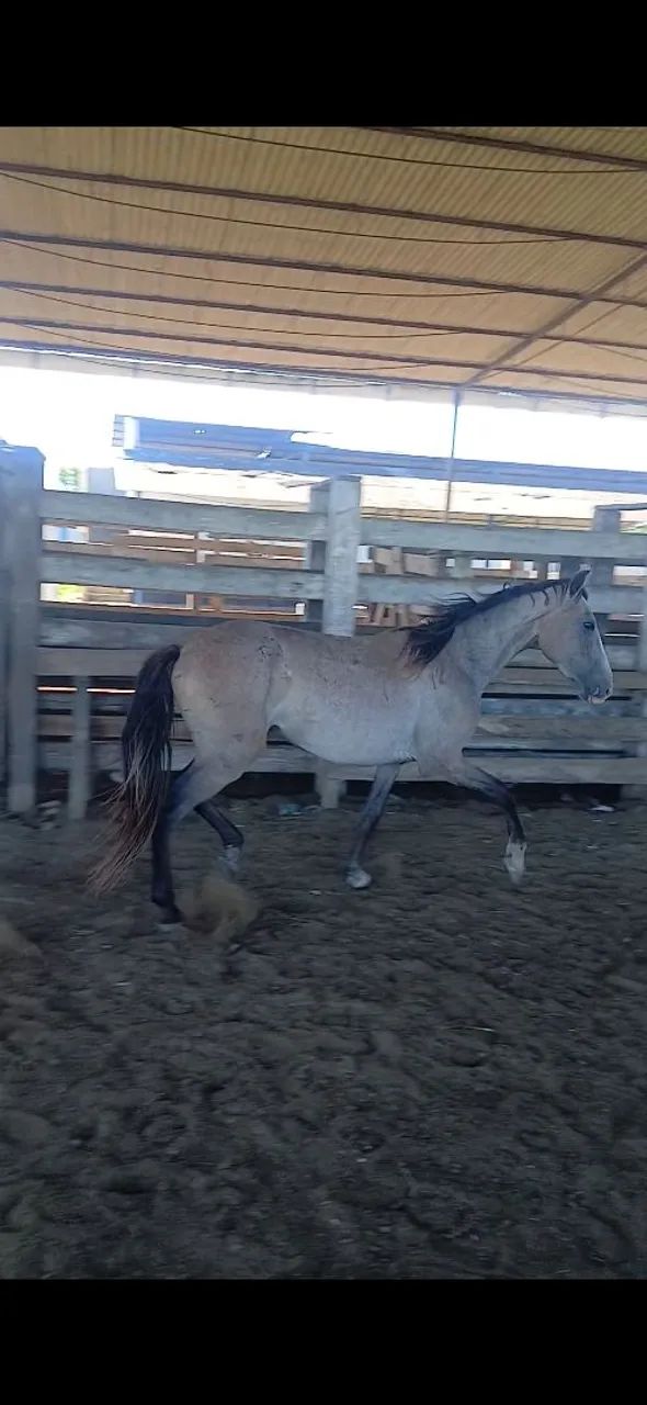 Vendo ou negocio  - Foto 2