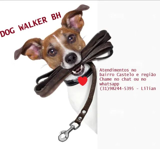 Dog Walker - Passeador de cães BH