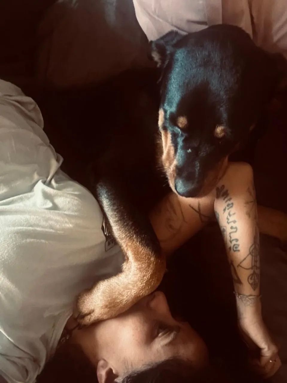 Doa-se uma linda rottweiler  - Foto 4