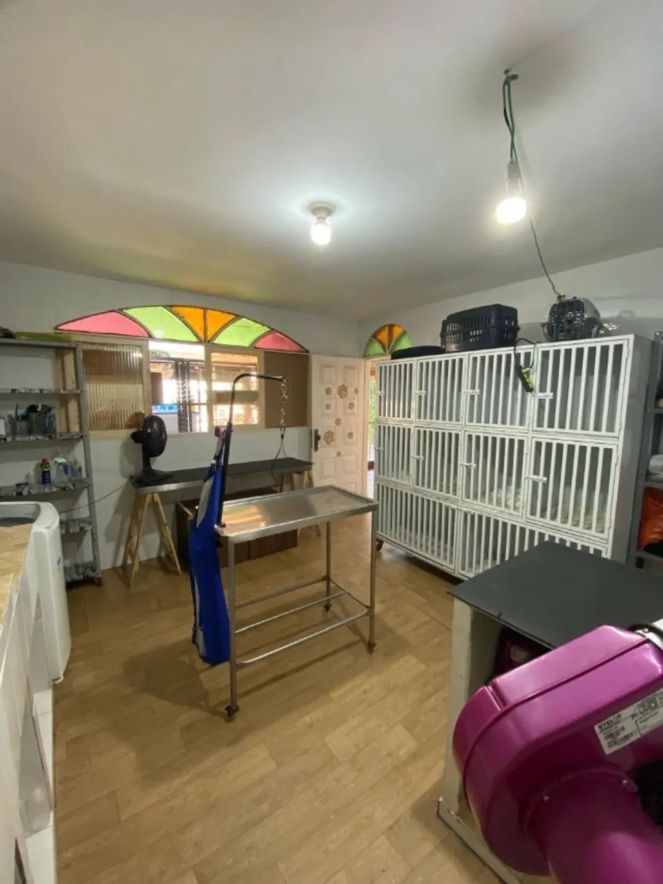 Pet shop com banho e tosa para alugar - Foto 4