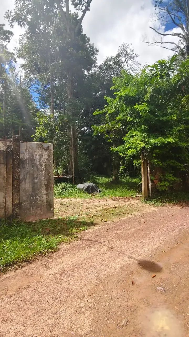 Sítio Terreno em Marituba - Foto 3