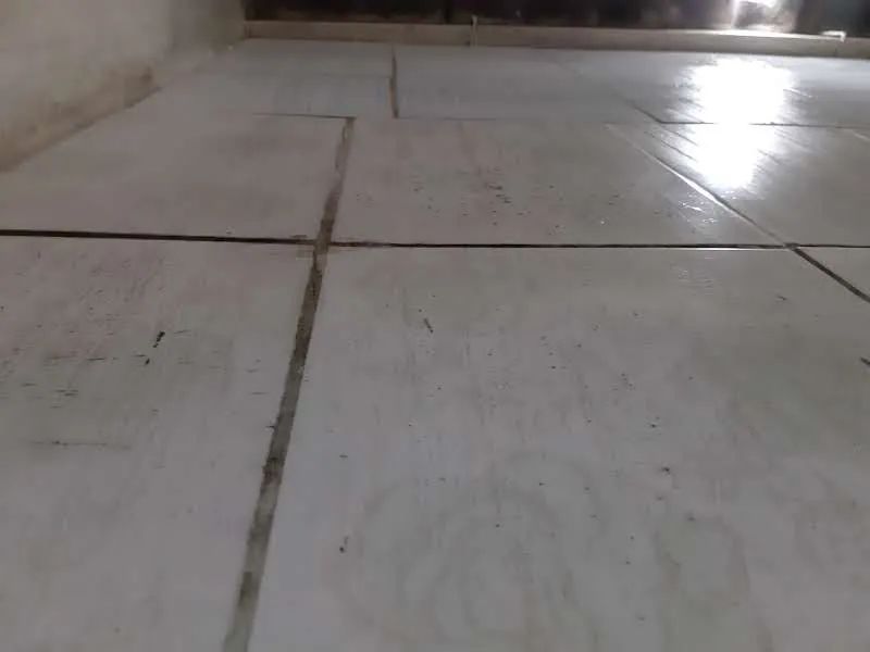 Aplicação e limpeza de rejunte  - Foto 2